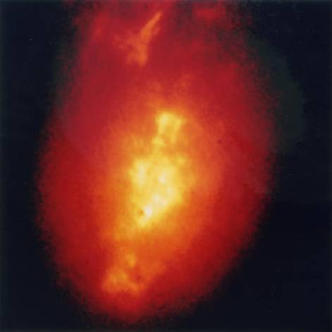 NGC 1068