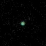 Groene Erwt