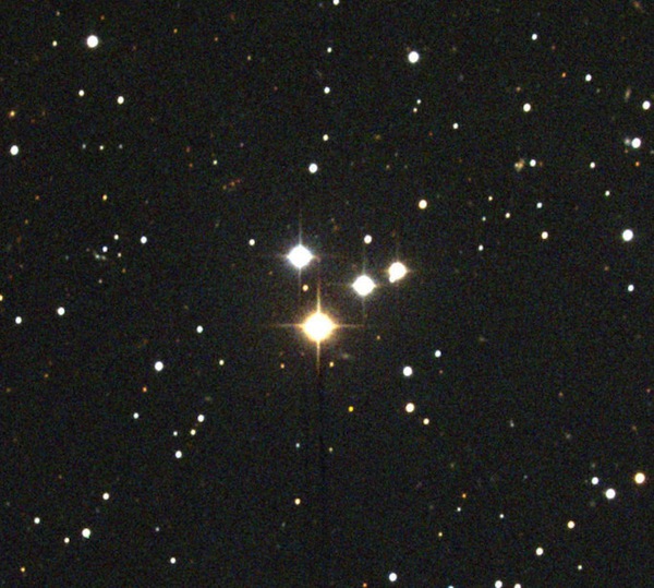M73