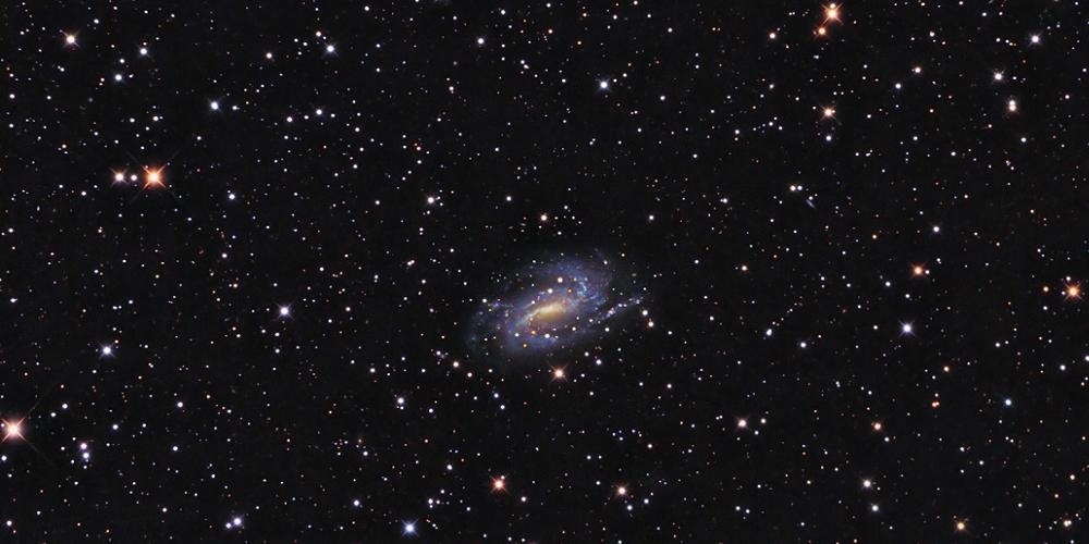 NGC 925