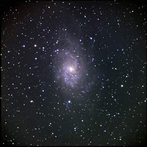 M33