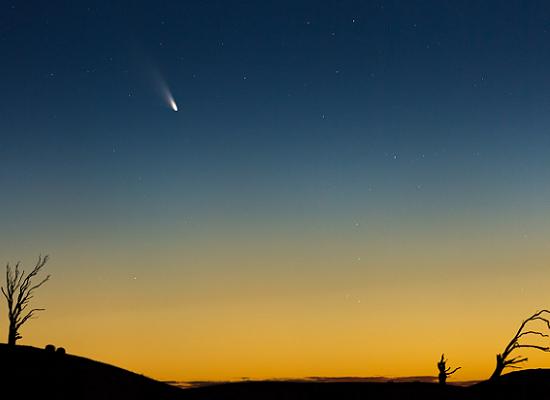 Komeet PANSTARRS